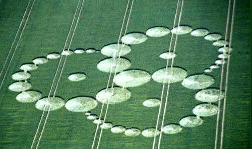 An aerial view of a crop formation in a green field: dozens of flattened circles of varying size arranged in a three-armed pattern, with straight tractor lines running across it.