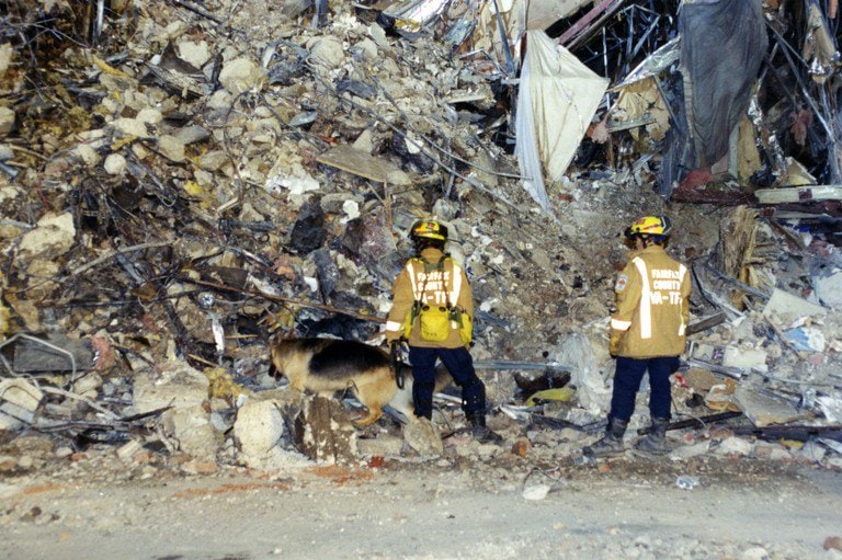 Two firefighters working a rubble slope with a search dog.
