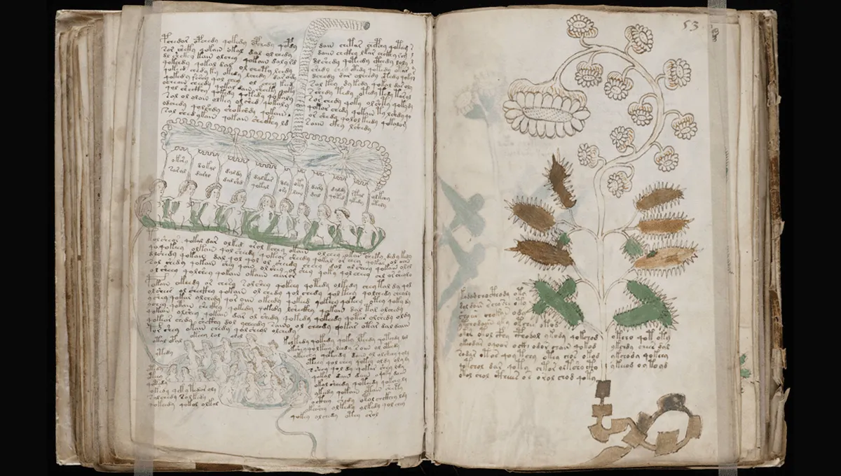 The mysterious Voynich manuscript, which is undeciphered to this day.